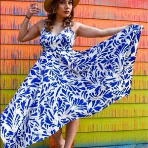 NWT ALEXIS x Target Blue & White Botanical Dress
